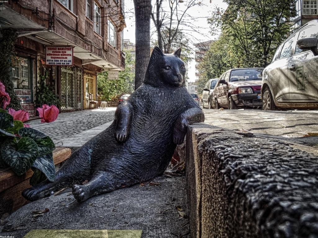 ការវិភាពលើdv38